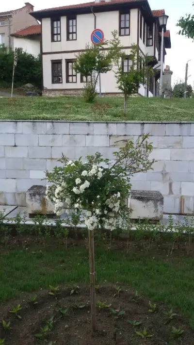 Хотел Тракия в Ивайловград