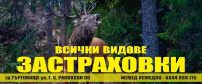 Застраховки - Всички видове застраховки