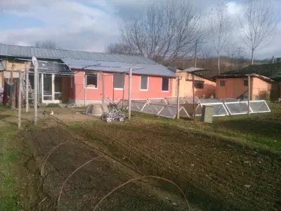 Камелия Груп ЕООД