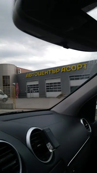 ,,АСОРТ 95"-ЕООД