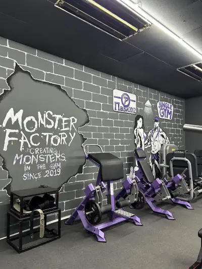 Фитнес Jungle Gym