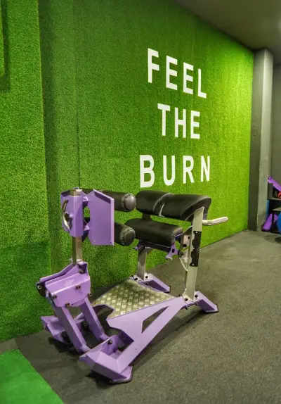 Фитнес Jungle Gym