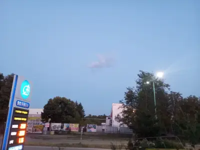 ванеда оод
