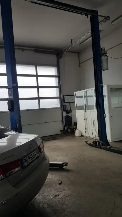 Pavlov - Auto