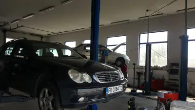 Pavlov - Auto