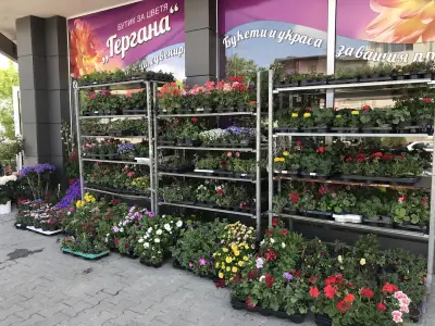 Бутик за цветя "Гергана" Магазин за цветя