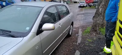 Ramina Auto Rent