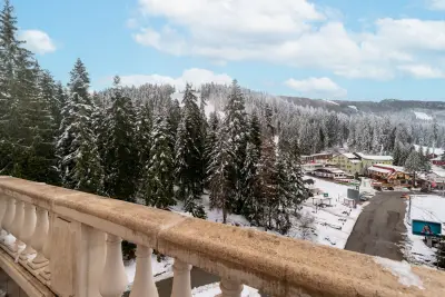 Феста Уинтър Палас Хотел