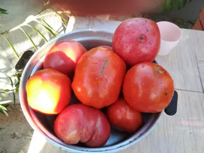 Селски Магазин