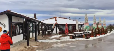 Зеленището