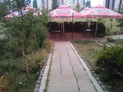 Дебют