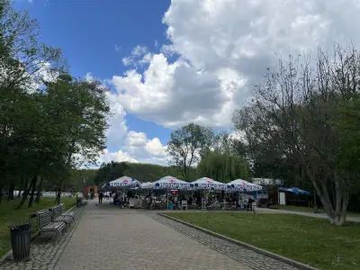 Северен вълк