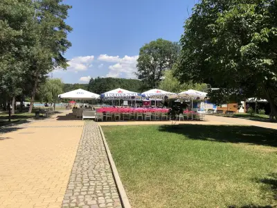Северен вълк