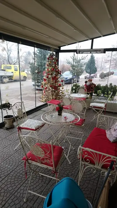 Стораро