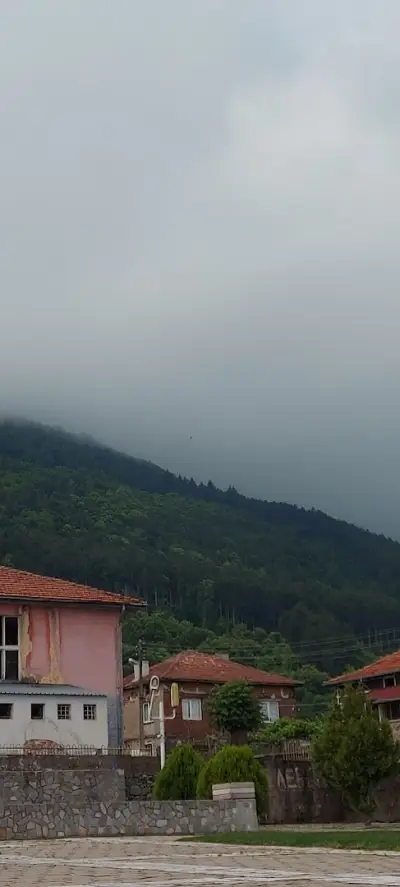 Снек Бар Поли