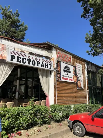 Старият орех