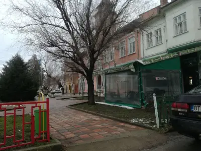 Виена