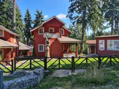Alpin Borovets, Алпин Боровец