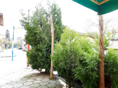 Джордан