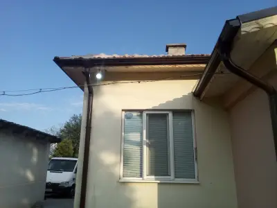 Зеленото