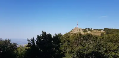 Хотел "Бяла мечка"