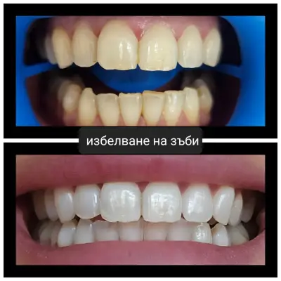 Д-р Мехмет Ефе