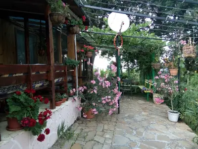 Вила „Акула“, Парк Росенец