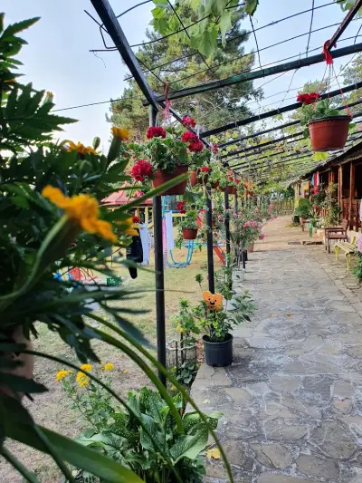 Вила „Акула“, Парк Росенец
