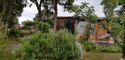 Вила „Акула“, Парк Росенец