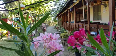 Вила „Акула“, Парк Росенец