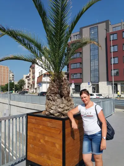 Asparuhov Guest Rooms