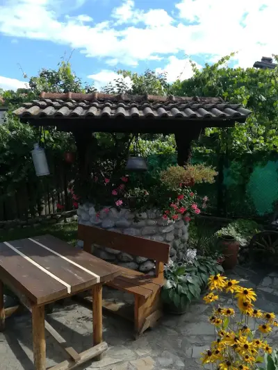 Старата Тонина къща