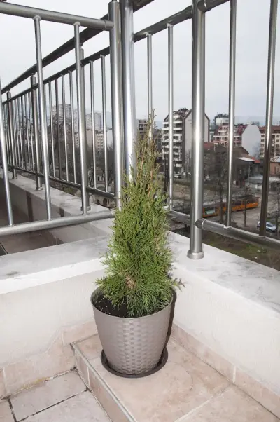 DERELLI Business Apartment