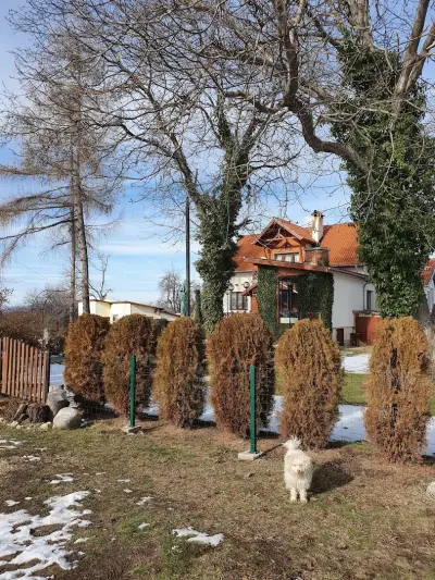 Орехите Къща за Гости