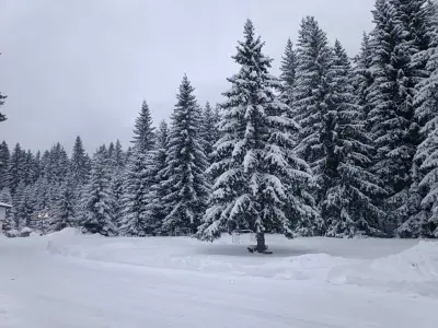 Утро без Аларма, Смолянски езера. Alarm free Morning Smolyan lakes