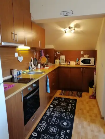 Apartment Viki Pamporovo