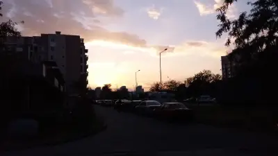 Оазис 7