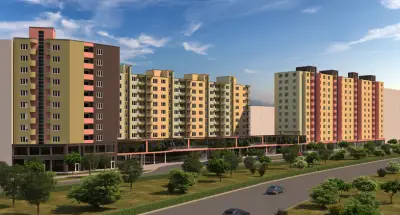 "ГЕРБЕРА" ООД