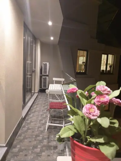 Super Central Luxury Apartments