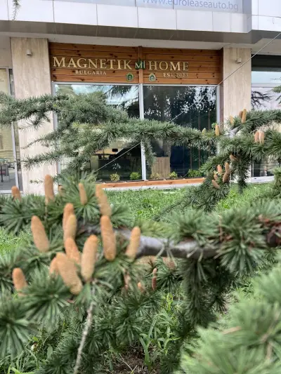 Magnetik Home Bulgaria
