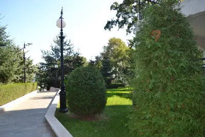 Иглика