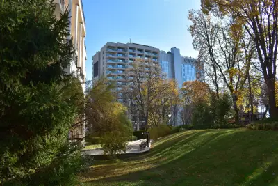 Иглика
