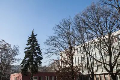 DERELLI Compact Apartment