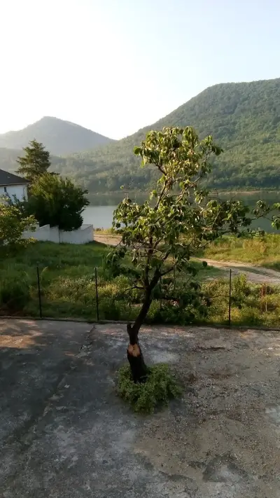 Къща за гости Анелия