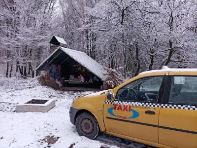 Вила "Пазачница"