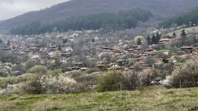 Къщата на светулките