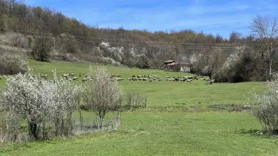 Къщата на светулките