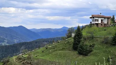 Къща за гости Веселата Къща