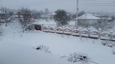 Сотировата къща