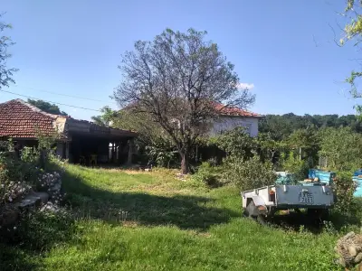 Данговата къща
